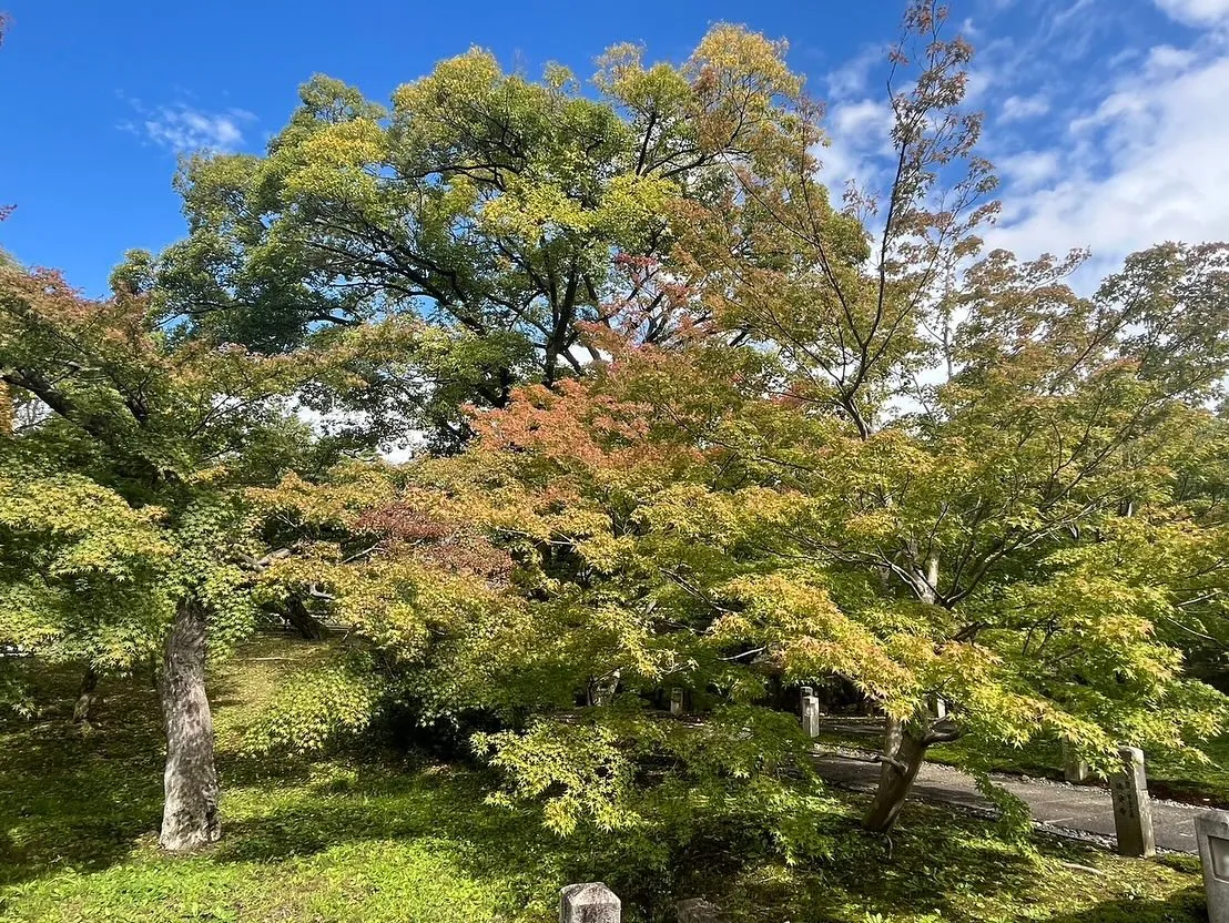 Chishakuin temple 