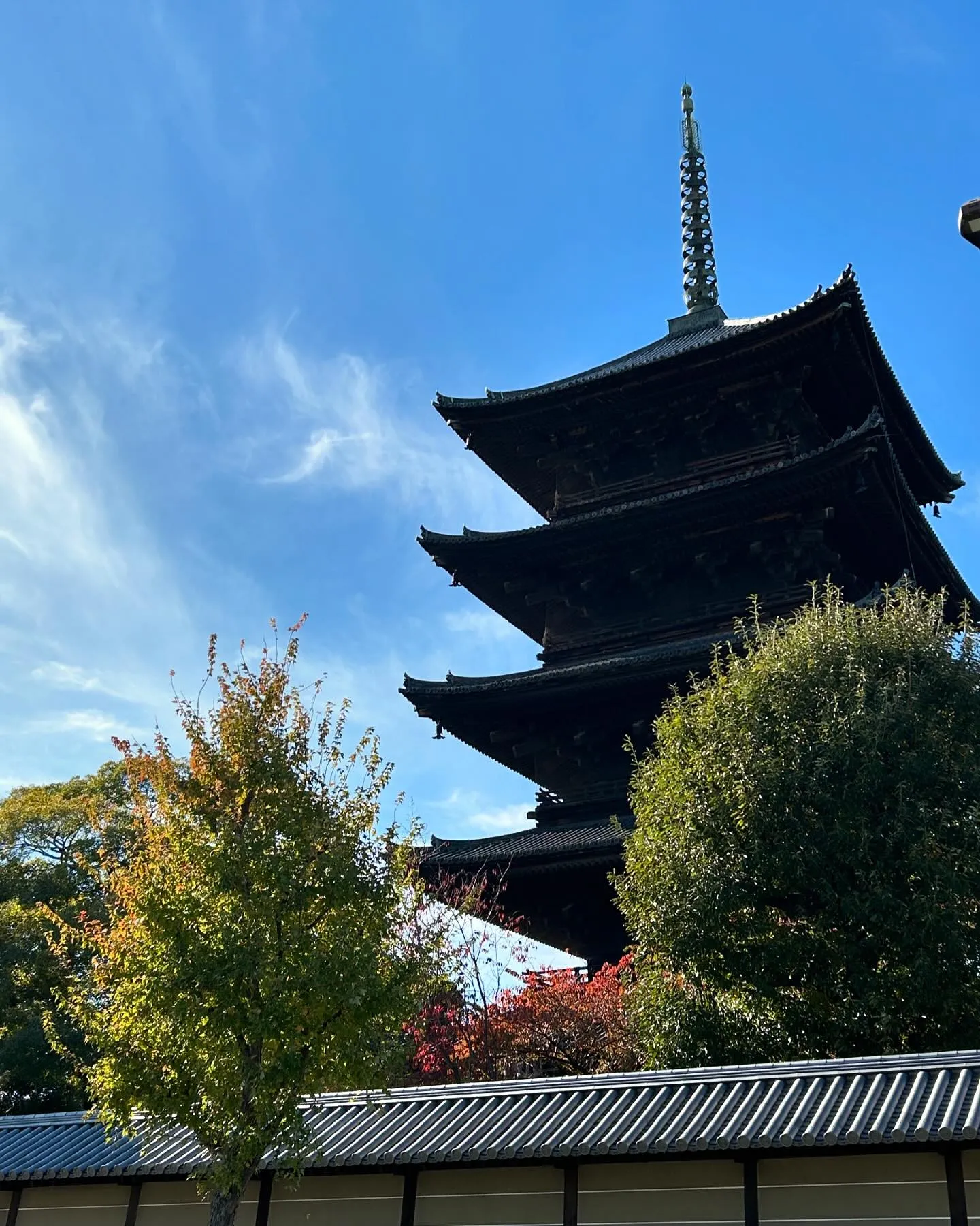 Toji temple🍁